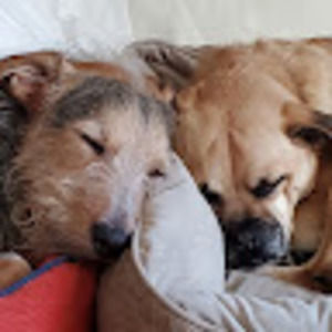 Meet your Posher, Todd